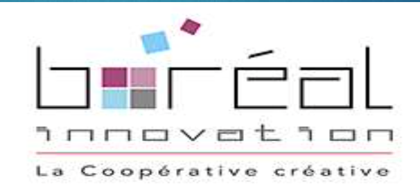 Logo Boréal Innovation